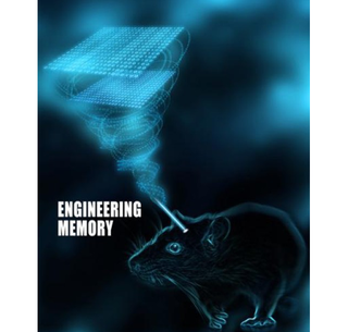Illustration for article titled A New Technique Could Erase Painful Memories -- Or Bring Them Back